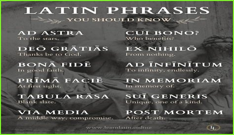 A Profile Of A Latin Beauty